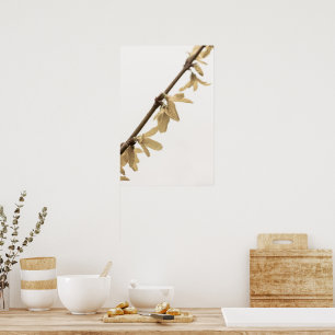 Lentedouches op Forsythia Flowers Poster