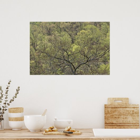 Lentegroen in het Poster van het ontwakende bos (Keuken)