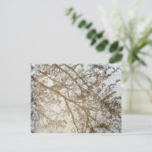 Lentegruinreflecties snijpad Puddle Canada Briefkaart (Staand voorkant)