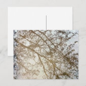 Lentegruinreflecties snijpad Puddle Canada Briefkaart (Voorkant / Achterkant)