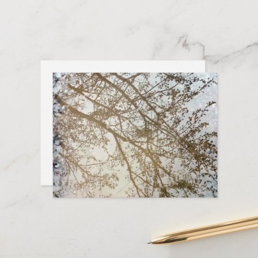 Lentegruinreflecties snijpad Puddle Canada Briefkaart (Voorkant / Achterkant in situ)