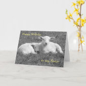 Lentekaart met lammetje kaart (Gele Bloem)