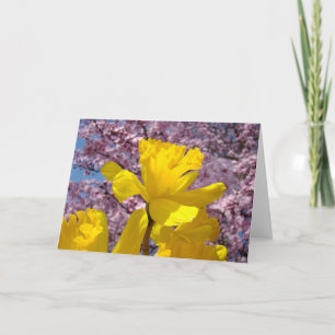 Lentekaarten gele Narcis Bloemen Roze Bloesem Feestdagen Kaart