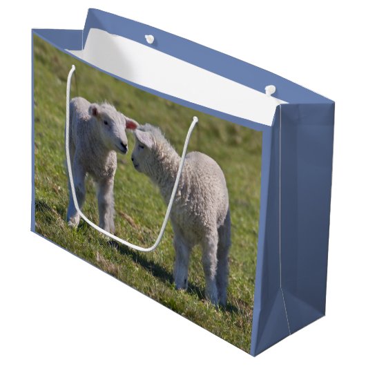 Lentekadotas Large Cadeautasje (Voorkant Gekanteld)