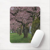 Lentekkersen bloeiende bomen muismat (Met muis)