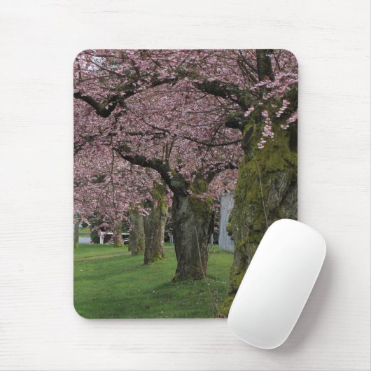 Lentekkersen bloeiende bomen muismat (Met muis)