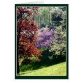 lentekleuren (Voorkant)