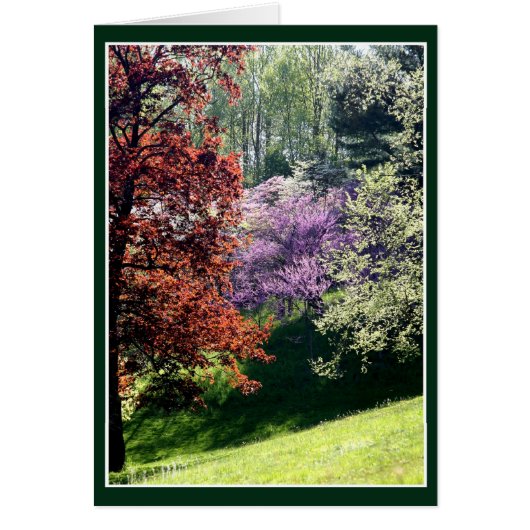 lentekleuren (Voorkant)