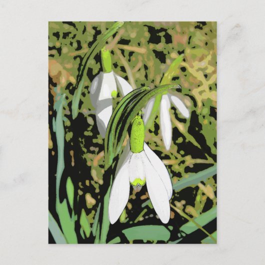 Lentekleuren Briefkaart (Voorkant)