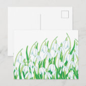 Lenteklokjes briefkaart (Voorkant / Achterkant)