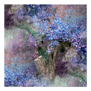 Lentekorten... Perfect Poster