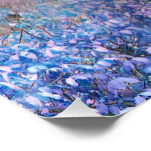 Lentekorten... Perfect Poster (Hoek)