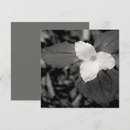 Lentekrinsbloem Zwart en Wit  Notitiekaartje