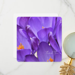 Lentekrokus Bloemfotografie Bedankkaart