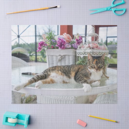 lentekruitpapier tissuepapier (Craft)