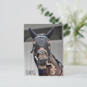 Lentekwaliteit Briefkaart (Staand voorkant)