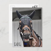 Lentekwaliteit Briefkaart (Voorkant / Achterkant)