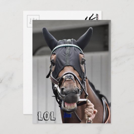 Lentekwaliteit Briefkaart (Voorkant / Achterkant)