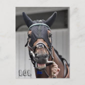 Lentekwaliteit Briefkaart (Voorkant)