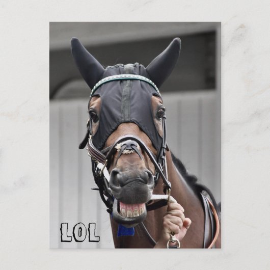 Lentekwaliteit Briefkaart (Voorkant)