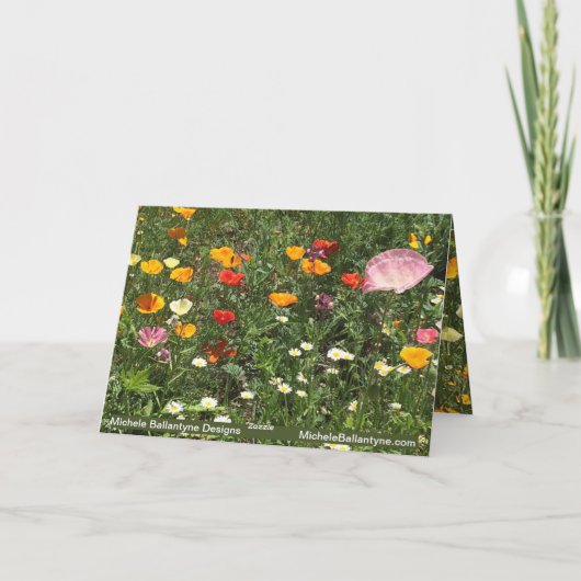 Lentemakkertulpen Oostergeel sinaasappel Bedankkaart (Achterkant)