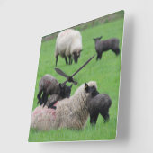 Lentemalk en schaap vierkante klok (Hoek)