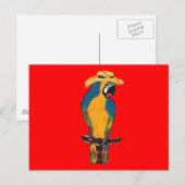 Lenten Parrots Briefkaart (Voorkant / Achterkant)
