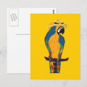 Lenten Parrots Briefkaart (Voorkant / Achterkant)
