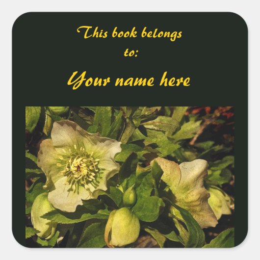 Lenten Roos Hellebore Bookplate Sticker (Voorkant)
