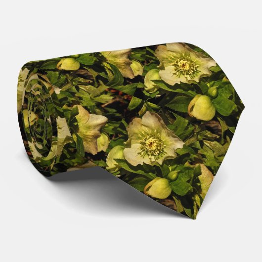 Lenten Roos Hellebore Stropdas (Opgerold)