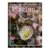 Lenten Roos SPRING Perfect Poster (Voorkant)