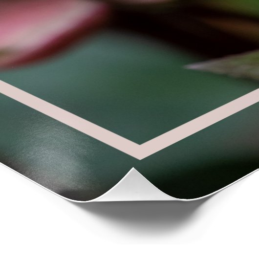 Lenten Roos SPRING Perfect Poster (Hoek)