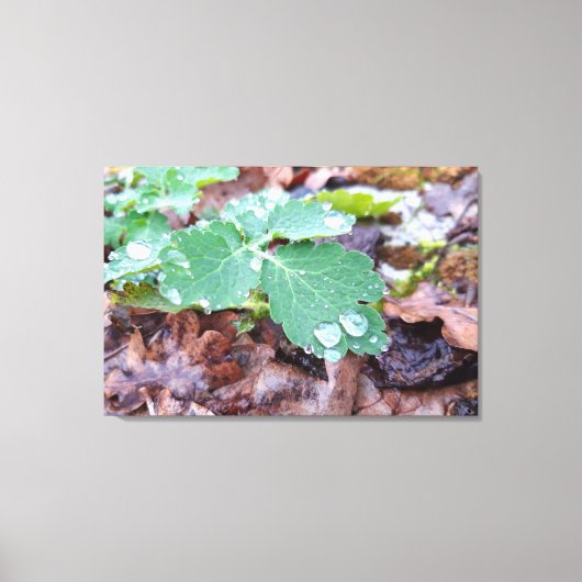 Lenteontwaken, regendagen canvas afdruk (Voorkant)