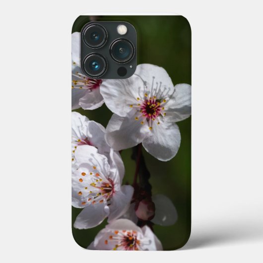 lentepiblossom voor telefoons Case-Mate iPhone case (Achterkant)