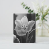 Lentepulp in zwart-wit Briefkaart (Staand voorkant)