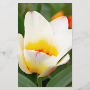 Lentereclosetupfoto van tulp briefpapier