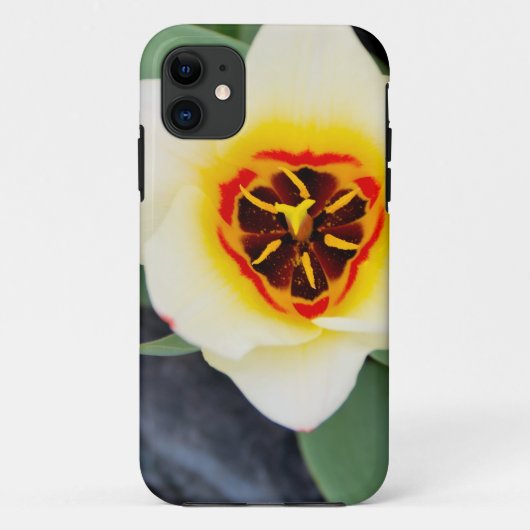Lentereclosetupfoto van tulp Case-Mate iPhone case (Achterkant)