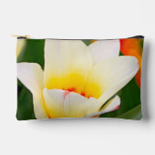 Lentereclosetupfoto van tulp etui (Voorkant)