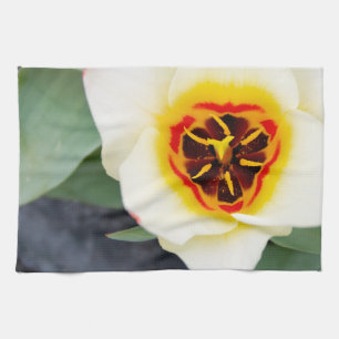 Lentereclosetupfoto van tulp theedoek
