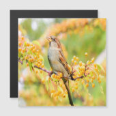 lentereservaat (Voorkant / Achterkant)