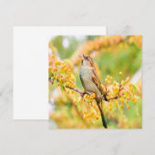 lentereservaat (Voorkant / Achterkant)