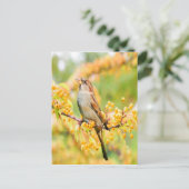 lentereservaat briefkaart (Staand voorkant)