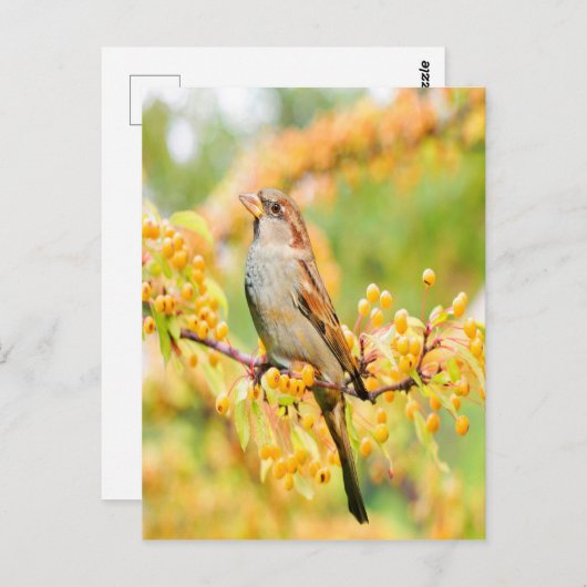 lentereservaat briefkaart (Voorkant / Achterkant)