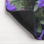 Lenteroch tendrilloem in het blauw muismat (Hoek)
