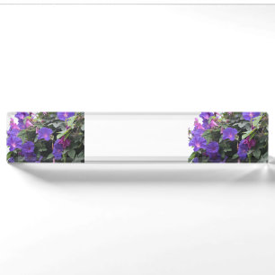 Lenterochtendglories in blauw naambordje