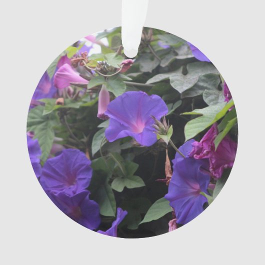 Lenteroemglories in het blauw ornament (voorkant)