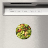 lentesalade magneet (Insitu (Vaatwasser))