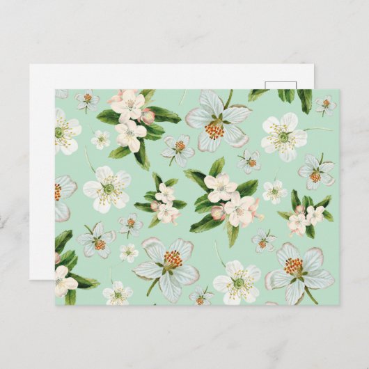 lentesbloem briefkaart (Voorkant / Achterkant)