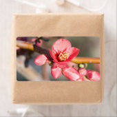 lentesbloem etiket (Insitu)