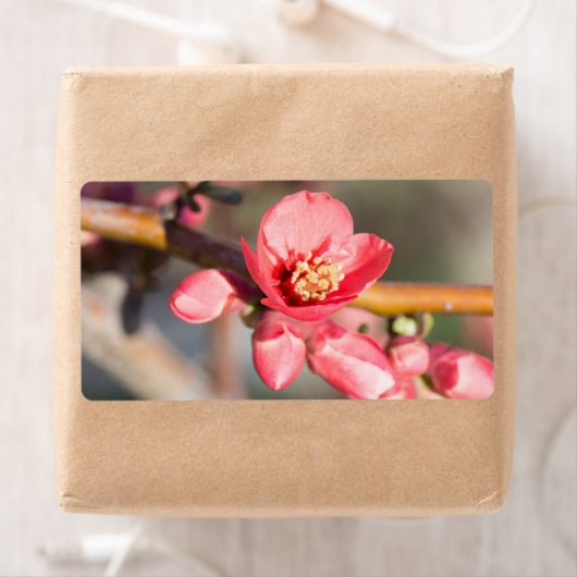 lentesbloem etiket (Insitu)